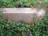image of grave number 527392